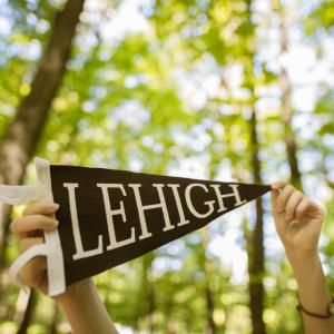 Lehigh University flag