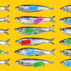 Sardines on a yellow background are labeled with tape with different prices