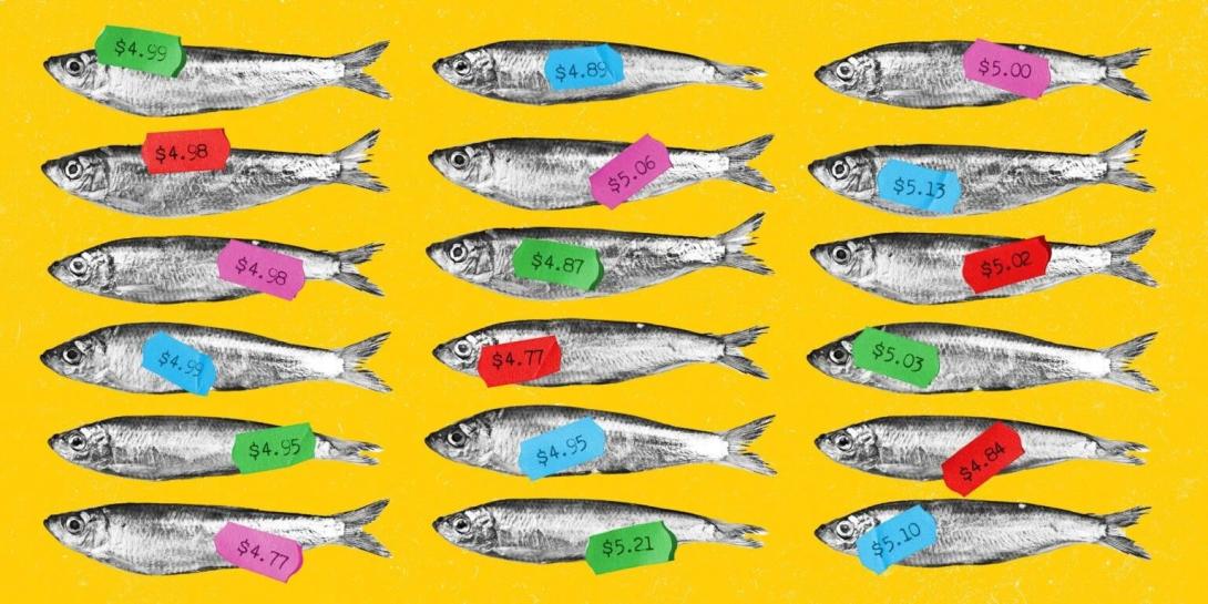 Sardines on a yellow background are labeled with tape with different prices